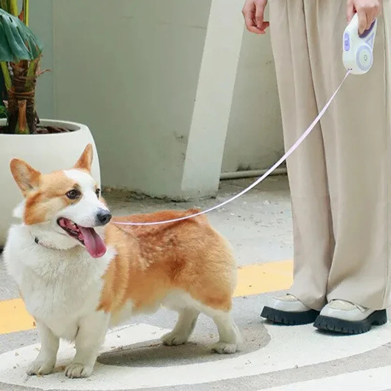 Retractable Dog Walking Leash