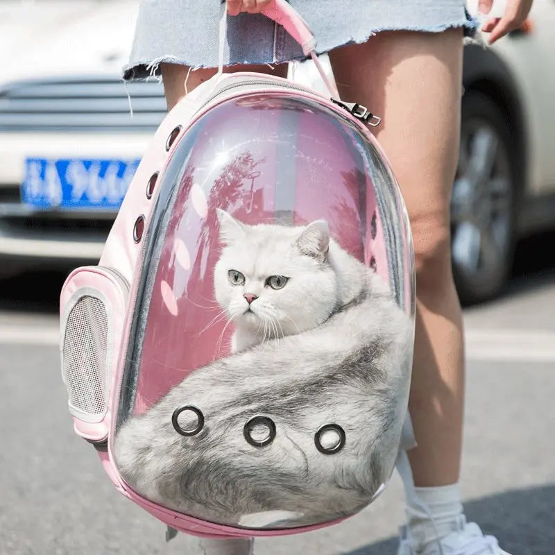 Portable Cat Backpack